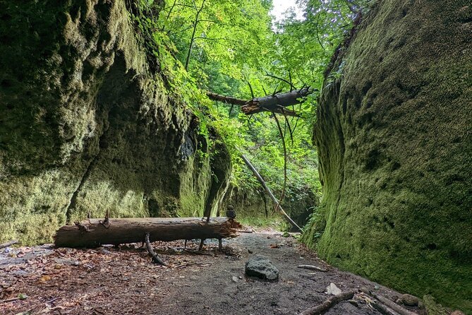 Private Day Trip of Lake Shikotsu and Moss Canyon - Who will get the most from this day