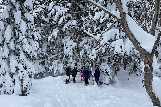Private Snow Shoe Tour in Shiretoko National Park - Pickup, Timing, and Equipment Details