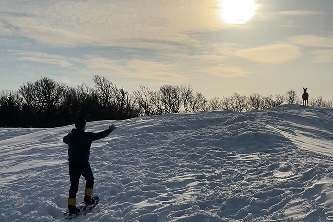 Private Snow Shoe Tour in Shiretoko National Park - Weather, Fitness, and the Right Kind of Visitor