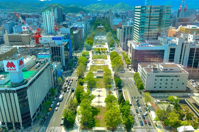 Sapporo Afternoon Walking Tour 2h 30mins - Finishing at Tanukikoji Shopping Street