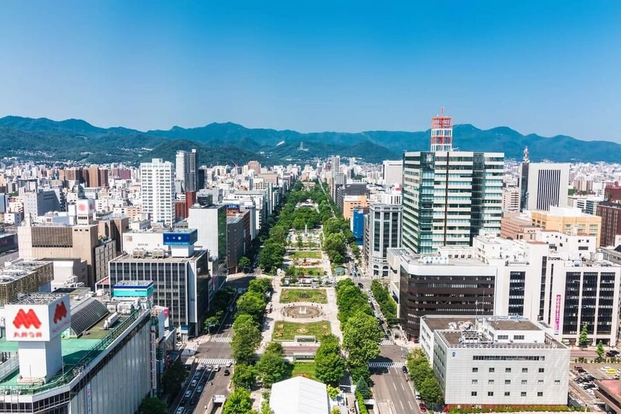 Sapporo: Buddha Hill, TV Tower, and Sake Stand Bar Tour - Why this Sapporo combination works