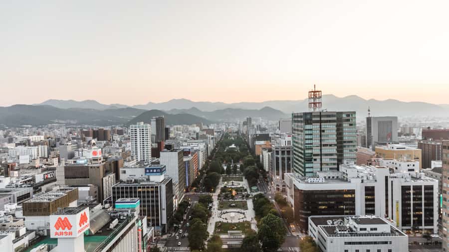 Sapporo: Custom Highlights and Hidden Gems Tour with a Local - Who will get the most from this experience