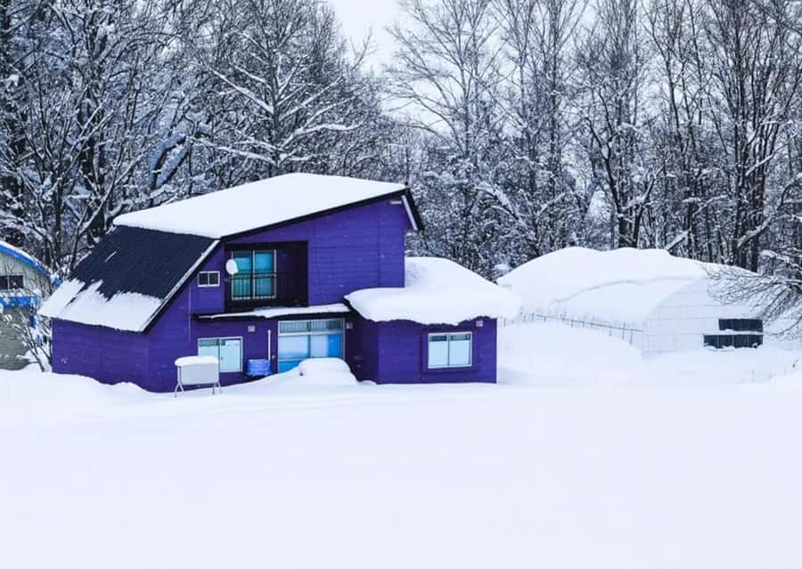 Sapporo: Furano Lavender & Biei Blue Pond Tour with Lunch - Roller Coaster Road and the Biei countryside