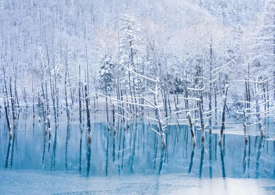 Sapporo: Furano Lavender & Biei Blue Pond Tour with Lunch - The drive back to Sapporo