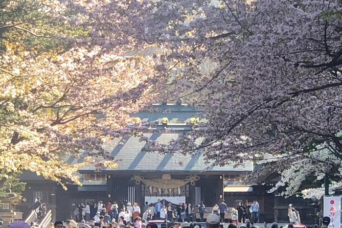 [Sapporo] Go by private car! Takino Cemetery, Hokkaido Shrine, Shiroi Koibito Park - Key points to know before booking
