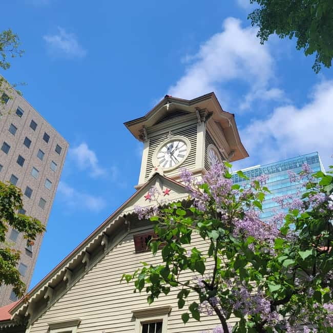 Sapporo Highlights: Golden Route Morning Guided Walking Tour - Sapporo City Hall and the city’s original idea