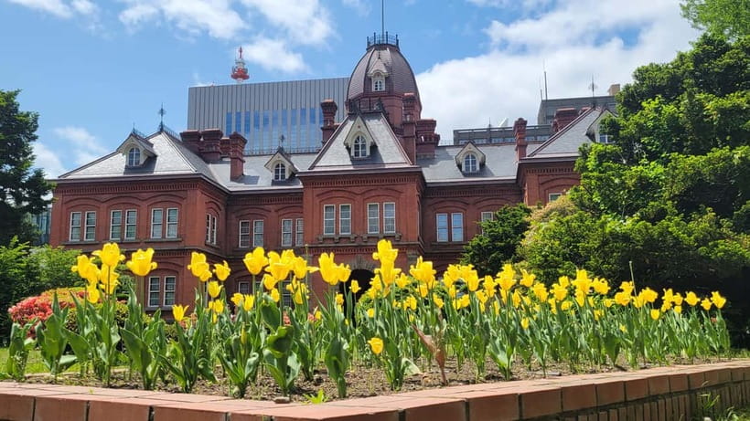 Sapporo Highlights: Golden Route Morning Guided Walking Tour - What the guides add