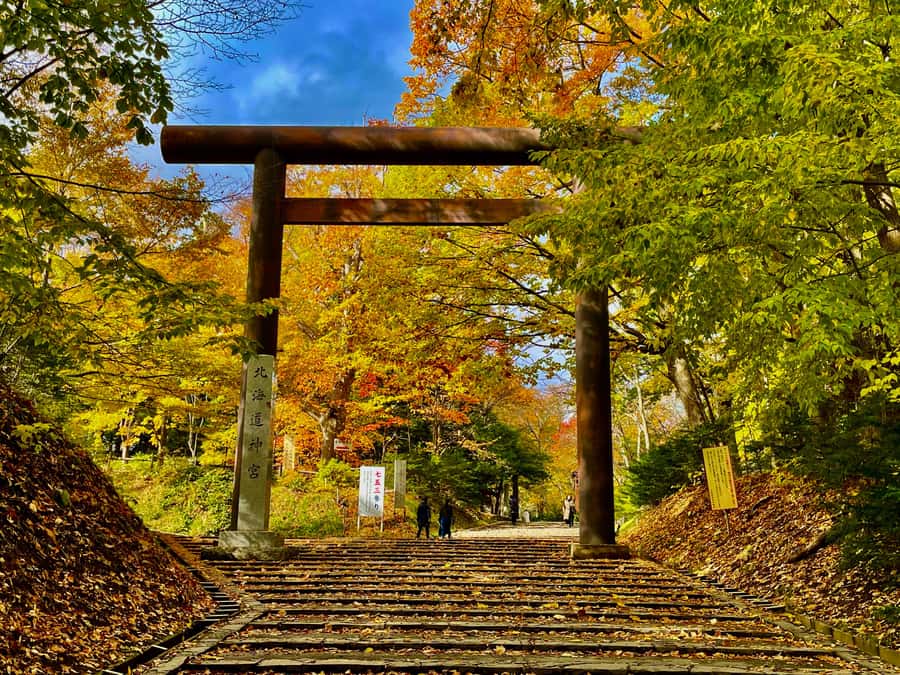 Sapporo: Hokkaido Shrine Tour with Rituals, History & Sweets - Learning the temizu water ritual