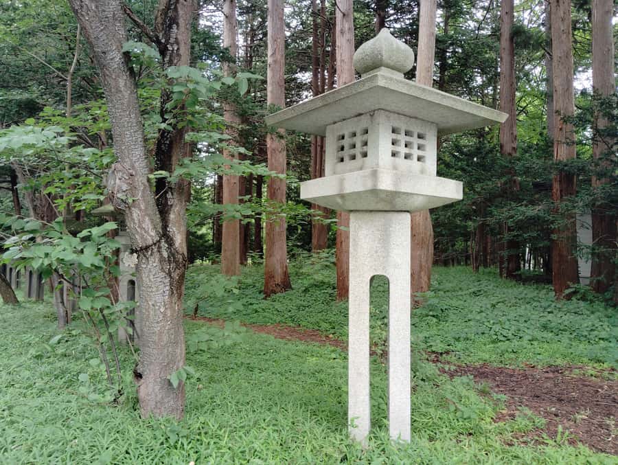 Sapporo: Hokkaido Shrine Tour with Rituals, History & Sweets - What the one-hour schedule really means