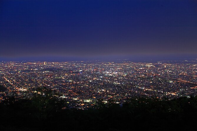 Sapporo Mt. Moiwa & Asahiyama Memorial Park Night View Trip - Asahiyama Memorial Park and its warmer city glow