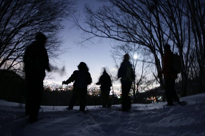 Sapporo Night Hike and Night View Private Guided Experience - From Sapporo streets to a small mountain in 30 minutes