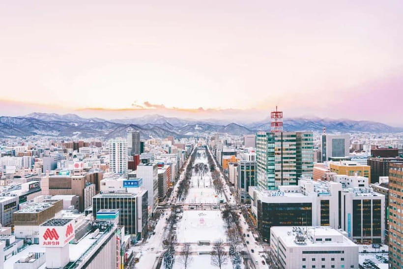 Sapporo: Private Customized Day Tour in Sappro City - The driver service is useful, but it is not a guided tour