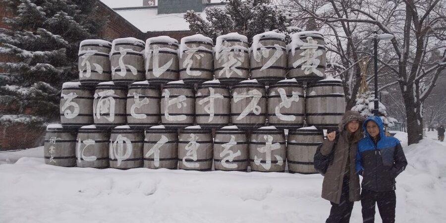 Sapporo: Private Customized Guided Tour - Key points to know