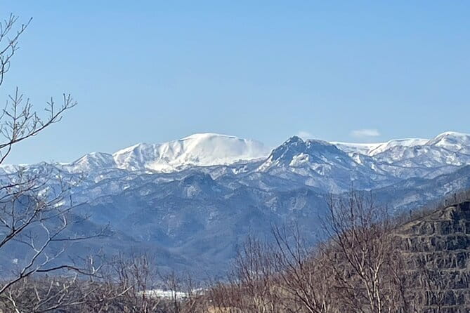Sapporo Private Sightseeing Tour in Onsen with Special Package - Jozankei Shrine and its quiet local character