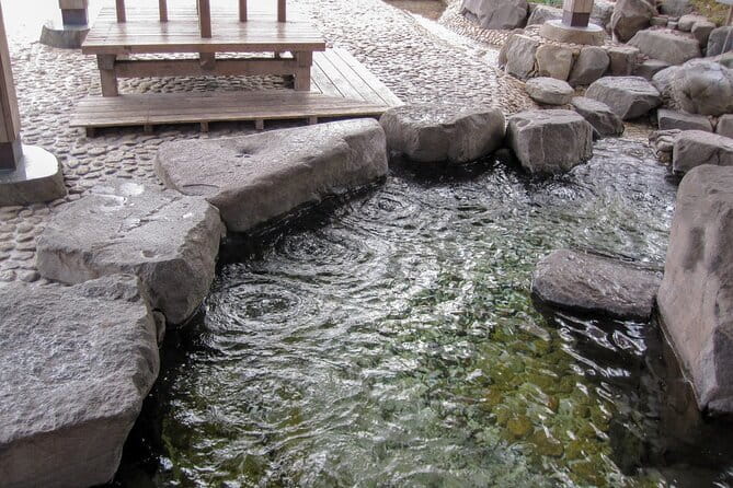 Sapporo Private Sightseeing Tour in Onsen with Special Package - Shiraito Falls, a summer-only stop
