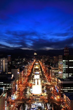 Sapporo TV Tower - What the $6.50 price really buys you