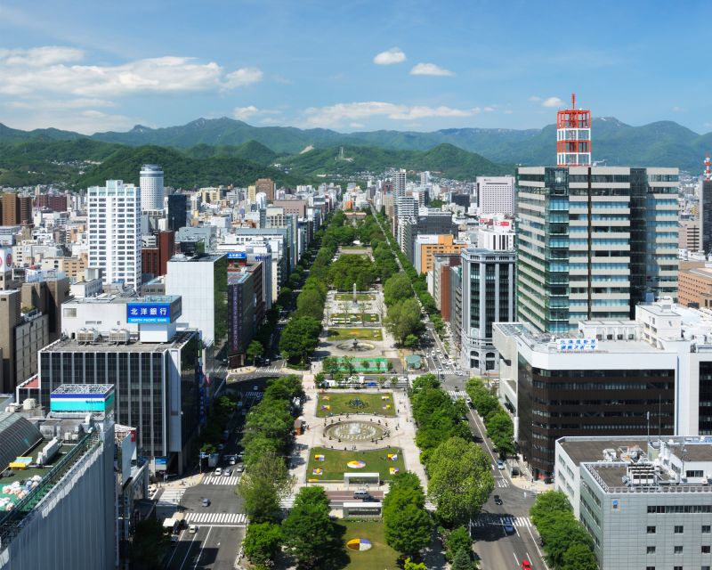 Sapporo TV Tower Admission Ticket - Festival views from above