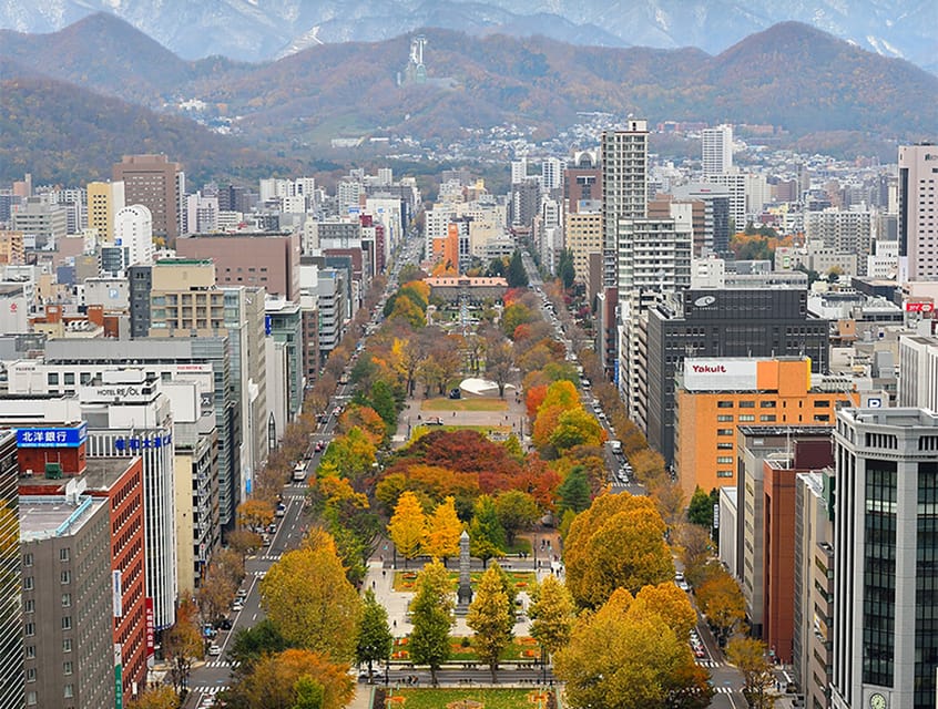 Sapporo TV Tower Admission Ticket - What the visitor feedback tells me
