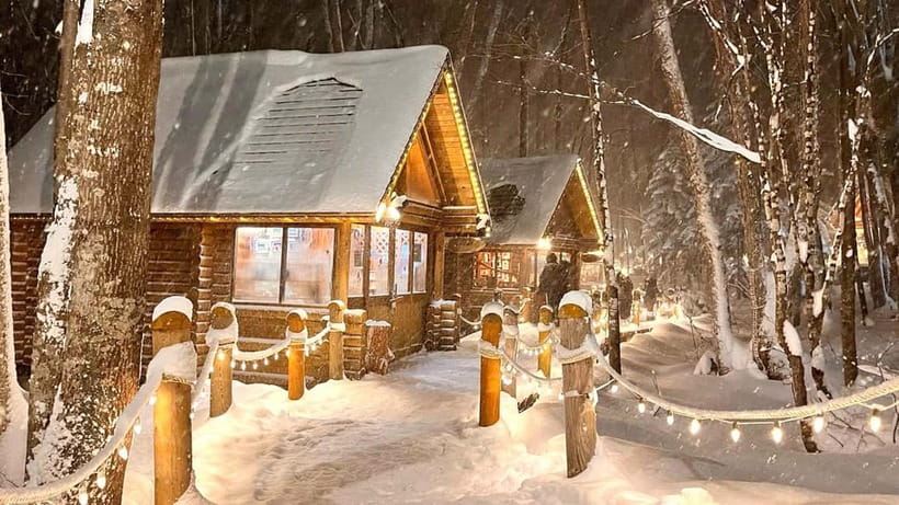Sapporo Winter : Asahiyama Zoo (Penguin Fun & Snowmobile) - Asahiyama Zoo and the winter animals