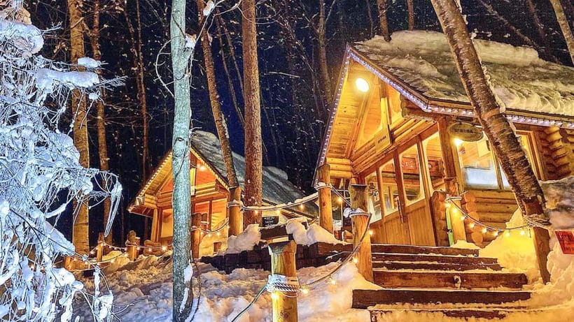 Sapporo Winter : Asahiyama Zoo (Penguin Fun & Snowmobile) - Five hours of driving, handled for you