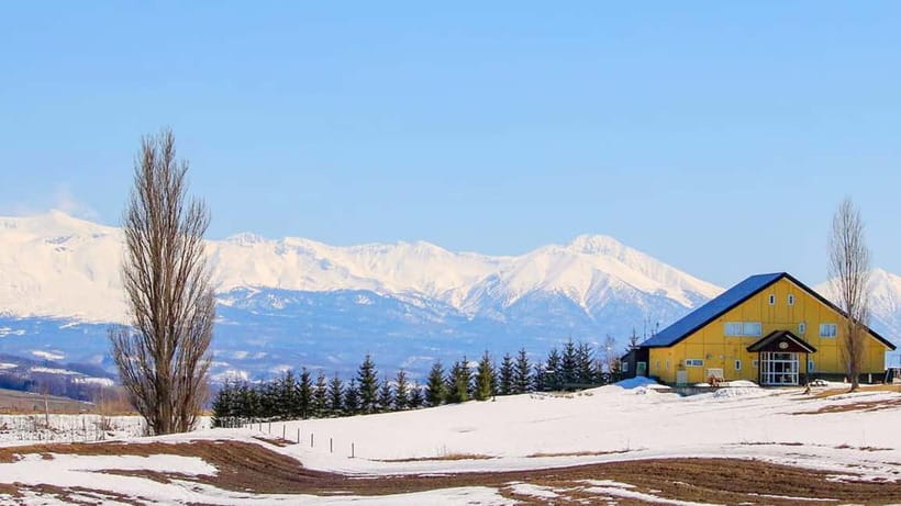 Sapporo Winter : Asahiyama Zoo (Penguin Fun & Snowmobile) - Who should book this tour?