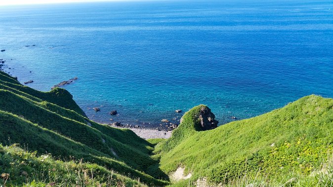 SkyExpress: Shakotan Peninsula Customised Private Day Tour (Up to 3 Passengers) - Why Shakotan Works Best by Private Car