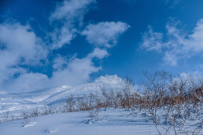 Snowshoe Adventures and Onsen Bliss Winter Escape in Furano - Why this snowshoe walk feels different from a ski-area outing