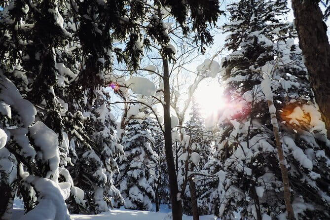 Snowshoe Adventures and Onsen Bliss Winter Escape in Furano - The 60-minute ride from your hotel or station