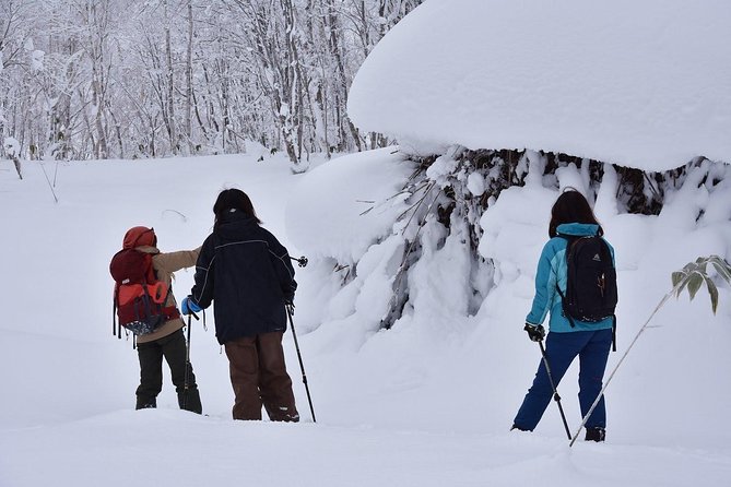 Snowshoe Hike Tour from Sapporo include hotel p/up & drop off - Jozankei and the Hoheikyo Onsen finish