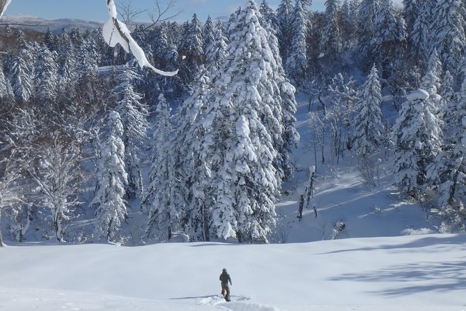 Snowshoe Hike Tour from Sapporo include hotel p/up & drop off - Why the private format matters