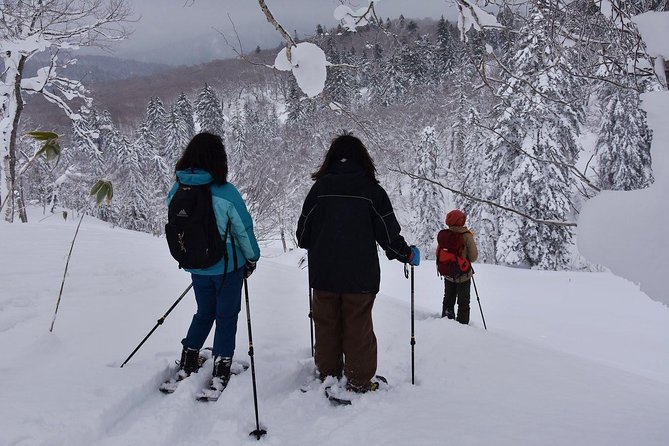 Snowshoe Hike Tour from Sapporo include hotel p/up & drop off - Gear, clothing, and what to bring