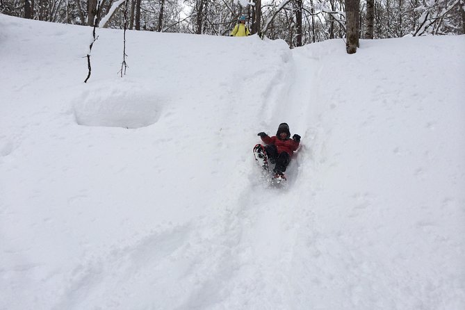 Snowshoe Hike Tour from Sapporo include hotel p/up & drop off - Weather, fitness, and cancellation details