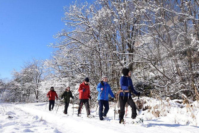 Snowshoe Hike Tour from Sapporo include hotel p/up & drop off - Tea, snacks, and the practical lunch question