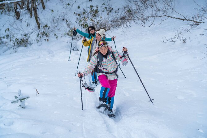 Snowshoe to Spectacular Winter Ice Caves in Hokkaido - Who will enjoy this outing most
