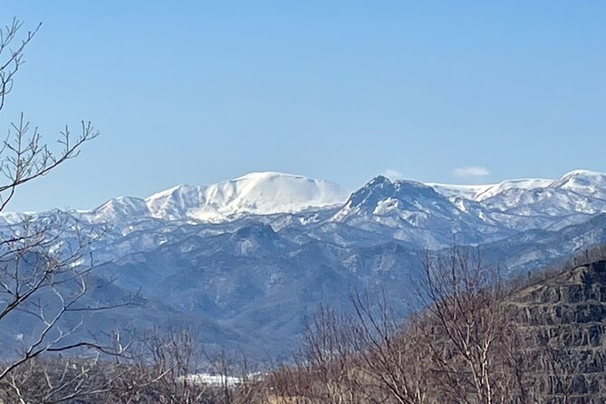 Snowshoeing and Onsen Adventures in a Winter Wonderland -Sapporo. - Key points to know before you book