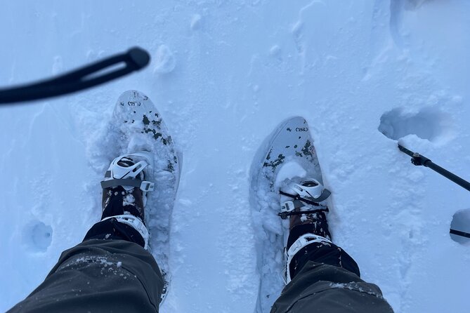 Snowshoeing and Onsen Adventures in a Winter Wonderland -Sapporo. - Five hours through Hokkaido forest