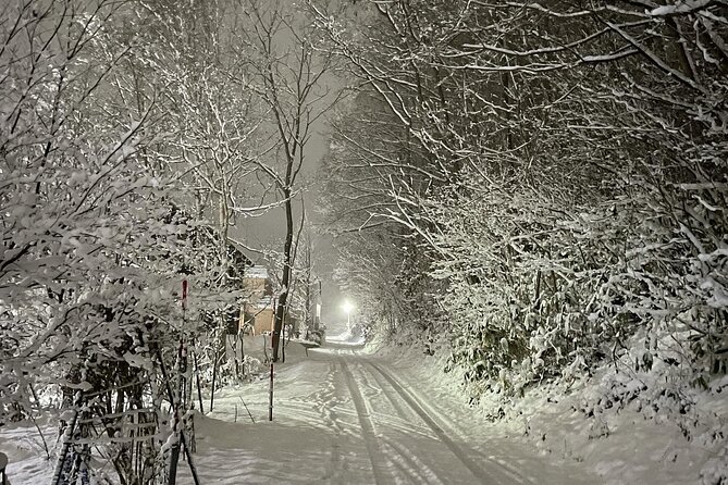 Snowshoeing and Onsen Adventures in a Winter Wonderland -Sapporo. - What Chris adds to the experience