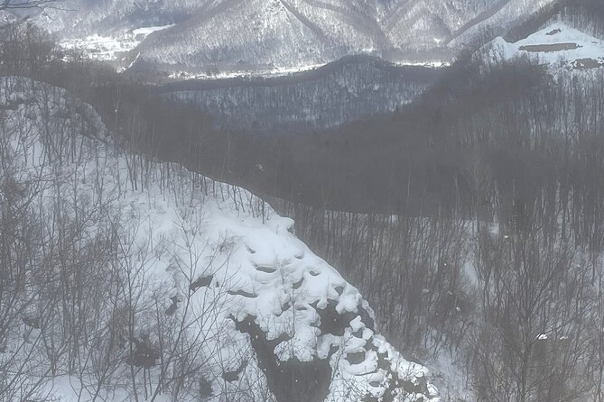Snowshoeing and Onsen Adventures in a Winter Wonderland -Sapporo. - Is $224.02 a fair price?