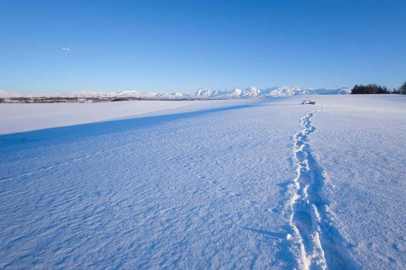 Snowshoeing on a Sparkling Biei Hill & Winter Cafe Time - Why Biei snowshoeing feels different